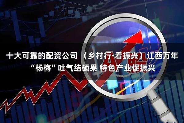 十大可靠的配资公司 （乡村行·看振兴）江西万年“杨梅”吐气结硕果 特色产业促振兴