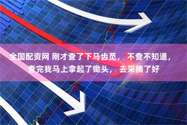 全国配资网 刚才查了下马齿苋， 不查不知道， 查完我马上拿起了锄头， 去采摘了好